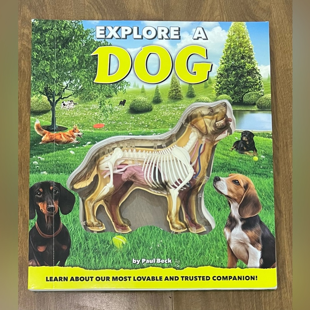 Explore A Dog Interactive Anatomy Book